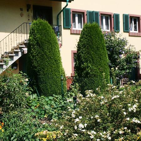 Dani'S Ferienwohnung 프라이암트 외부 사진